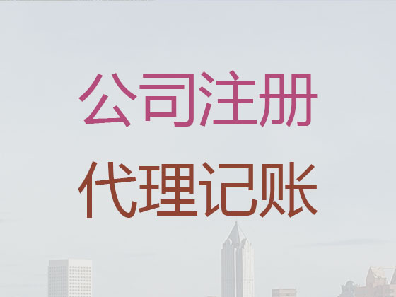 三亚代理记账报税服务|财务公司记账/做账代理